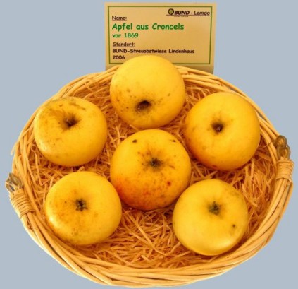 Apfel aus Croncels